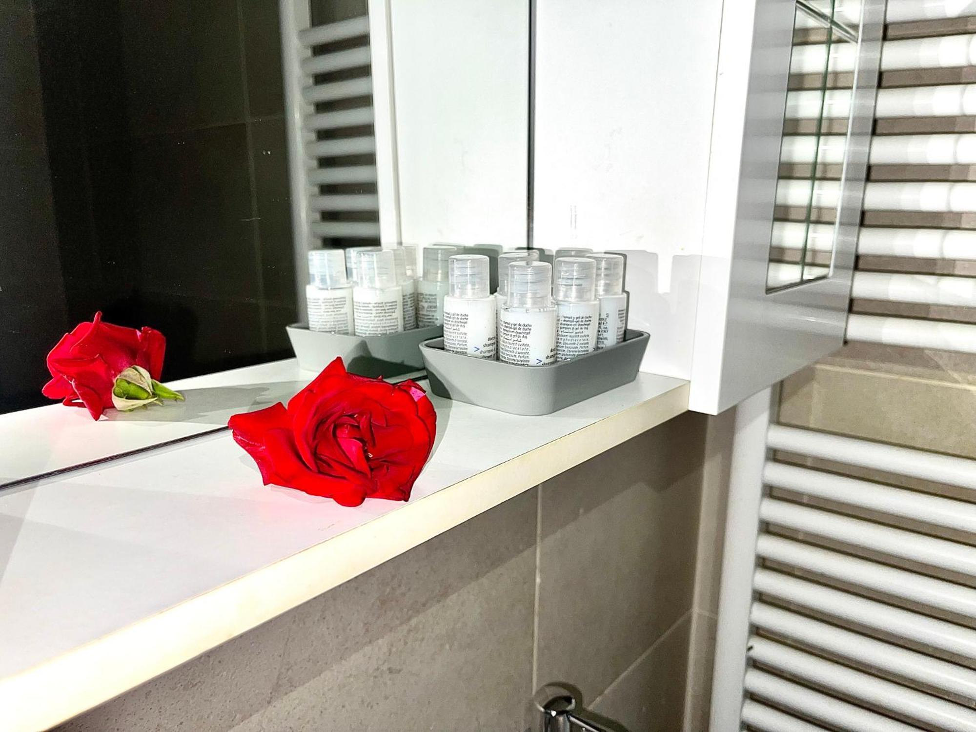 Apartment Ca' Del Plin Alba (Piedmont)